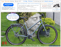 ❌ Sonderpreis  -  12-Gg Tout Terrain Amberroad Damen 28" Trekkingrad  Pinion C1.12  - int. Nr.  0066d  nur noch   L vorrätig - opt. Daumenschalthebel