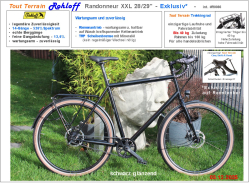 ✅Exklusiv ❗ XXL Rohloff Randonneur #R0086 - für sehr große Personen ✅  28/29" mit Rohloff Nabe  - Shift:R Road Rennschalthebel